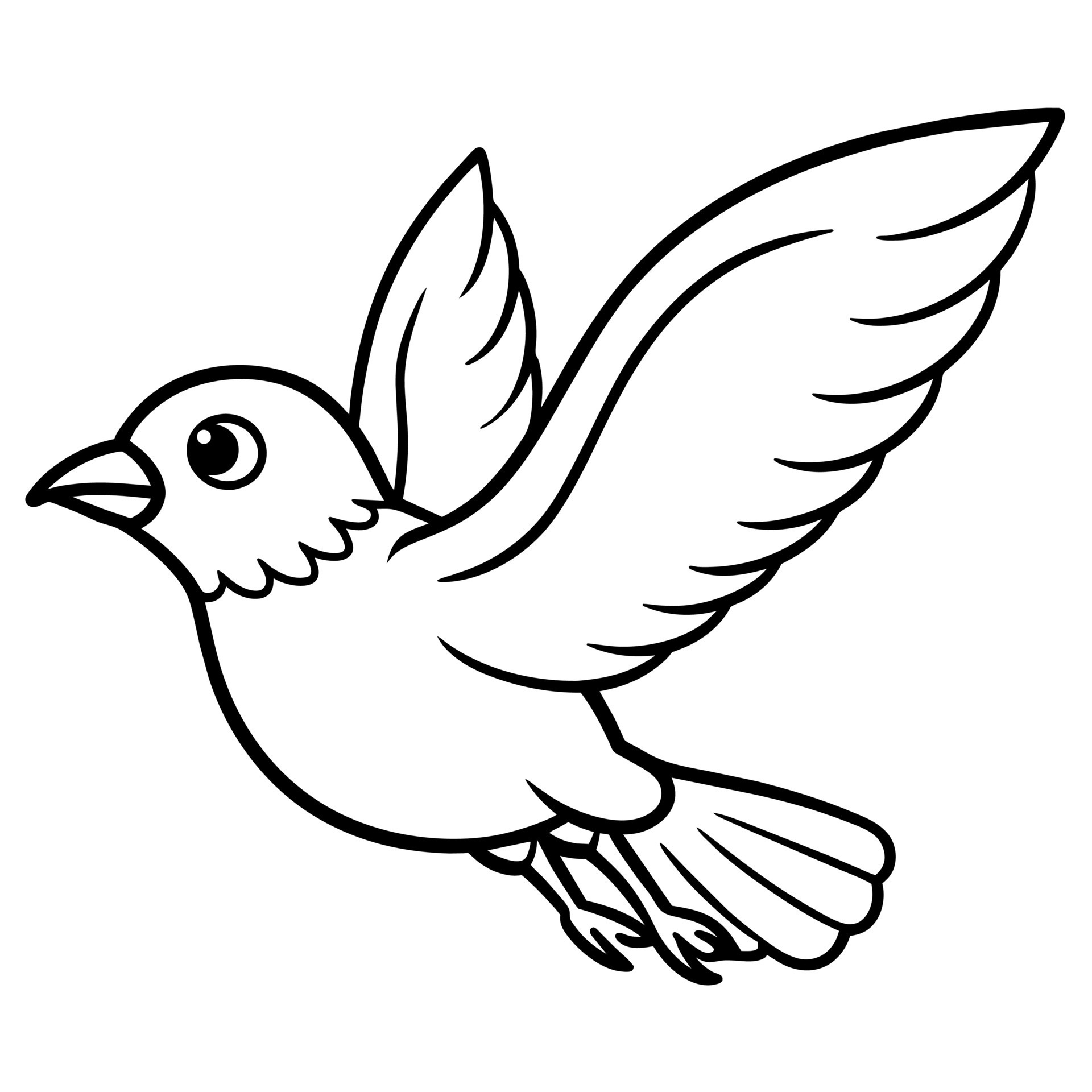 Bird Coloring book page hand draw illustration 43909133 Vector Art at