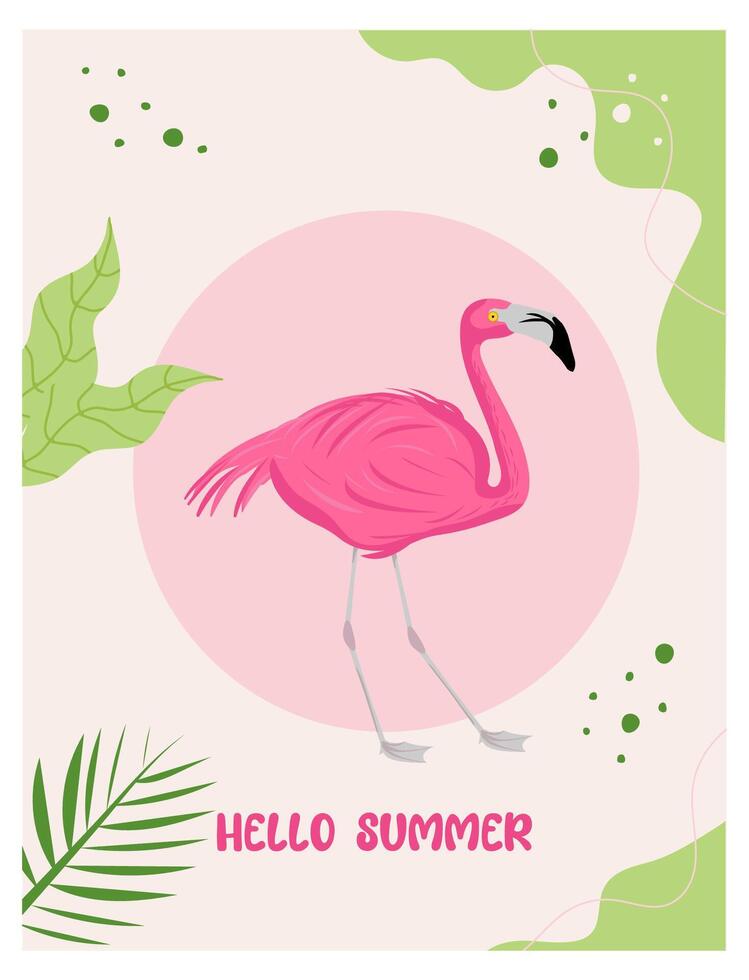 illustration of exotic flamingo bird for postcard, poster. vector