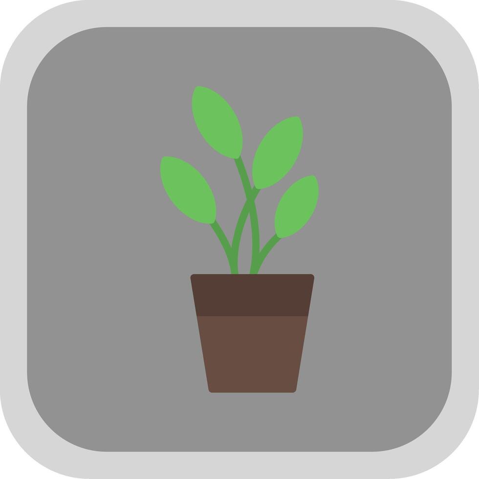 Dumb Cane Flat round corner Icon Design vector