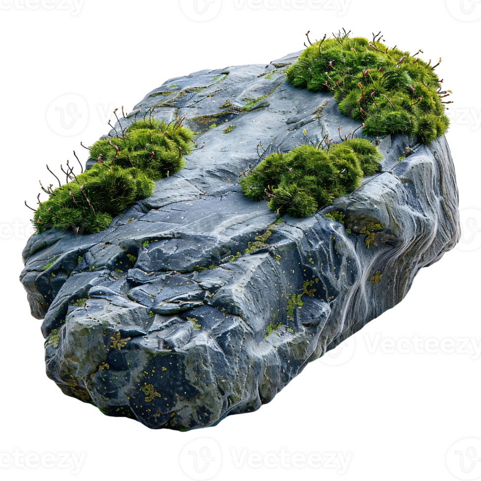 A large rock with moss growing on it png
