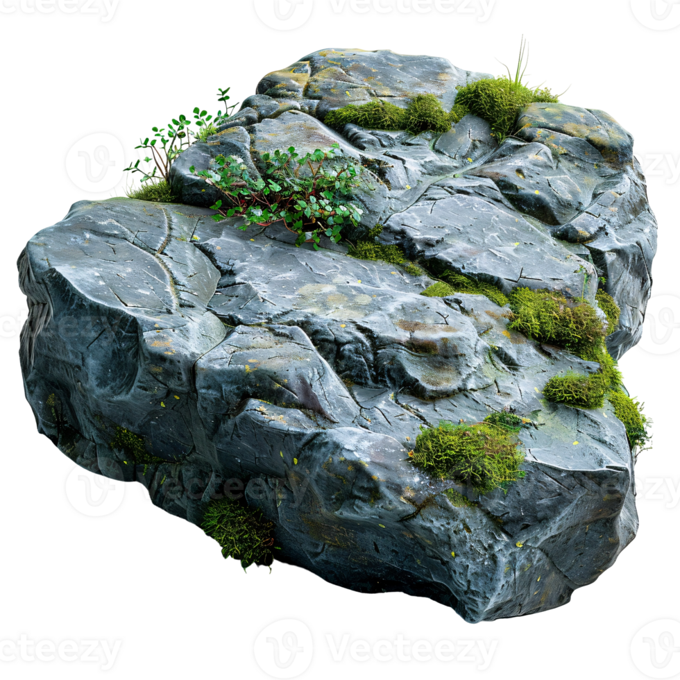 A large rock with moss growing on it png