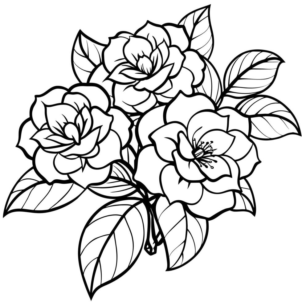 Camellia Flower Bouquet outline illustration coloring book page design, Camellia Flower Bouquet black and white line art drawing coloring book pages for children and adults vector