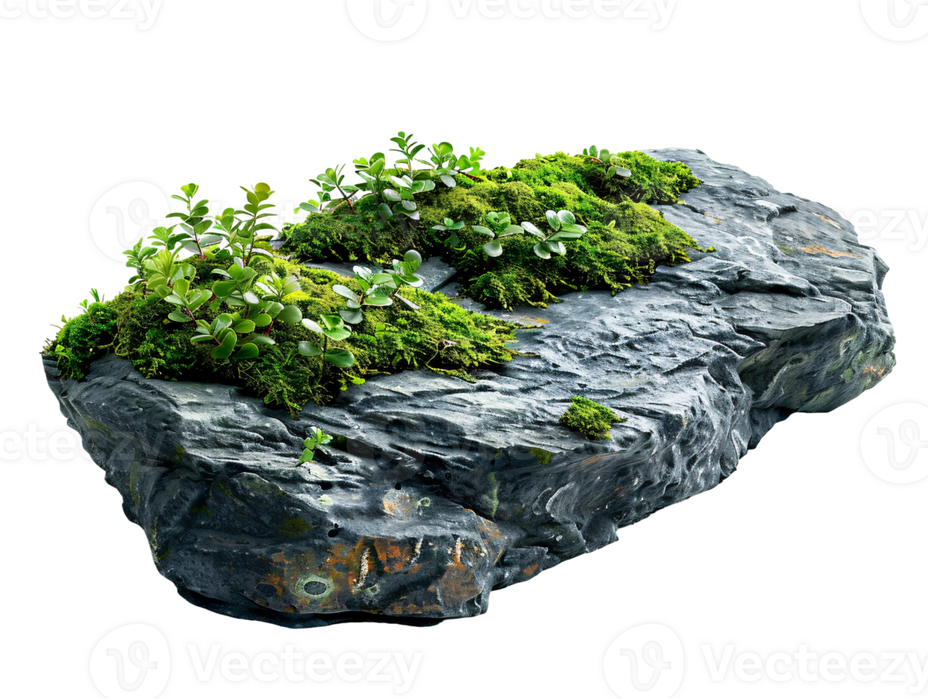 A large rock with moss growing on it png