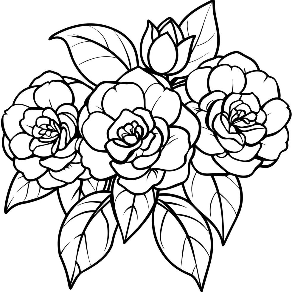 Camellia Flower Bouquet outline illustration coloring book page design, Camellia Flower Bouquet black and white line art drawing coloring book pages for children and adults vector