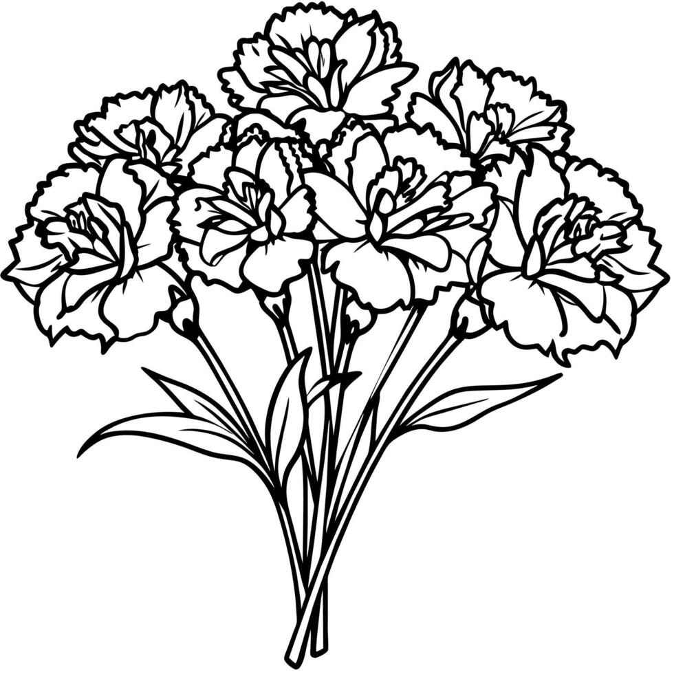 Carnation Flower Bouquet outline illustration coloring book page design, Carnation Flower Bouquet black and white line art drawing coloring book pages for children and adults vector