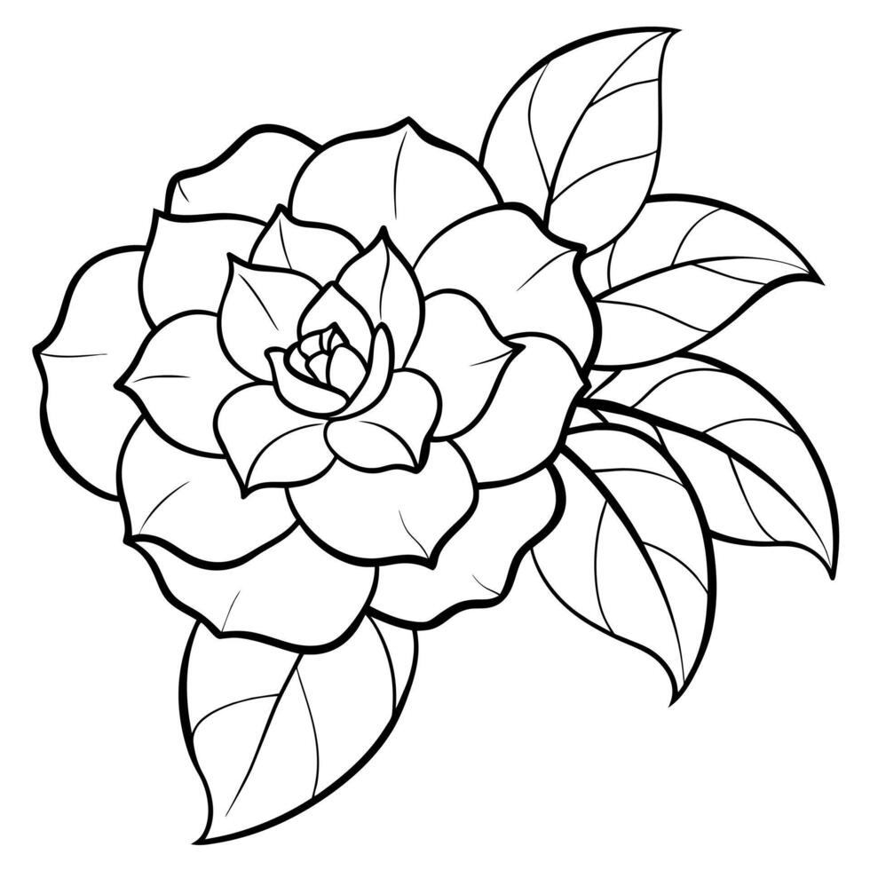 Camellia flower plant outline illustration coloring book page design, Camellia flower plant black and white line art drawing coloring book pages for children and adults vector