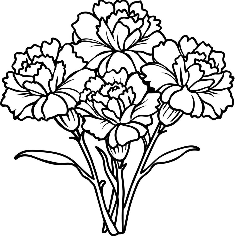 Carnation Flower Bouquet outline illustration coloring book page design, Carnation Flower Bouquet black and white line art drawing coloring book pages for children and adults vector