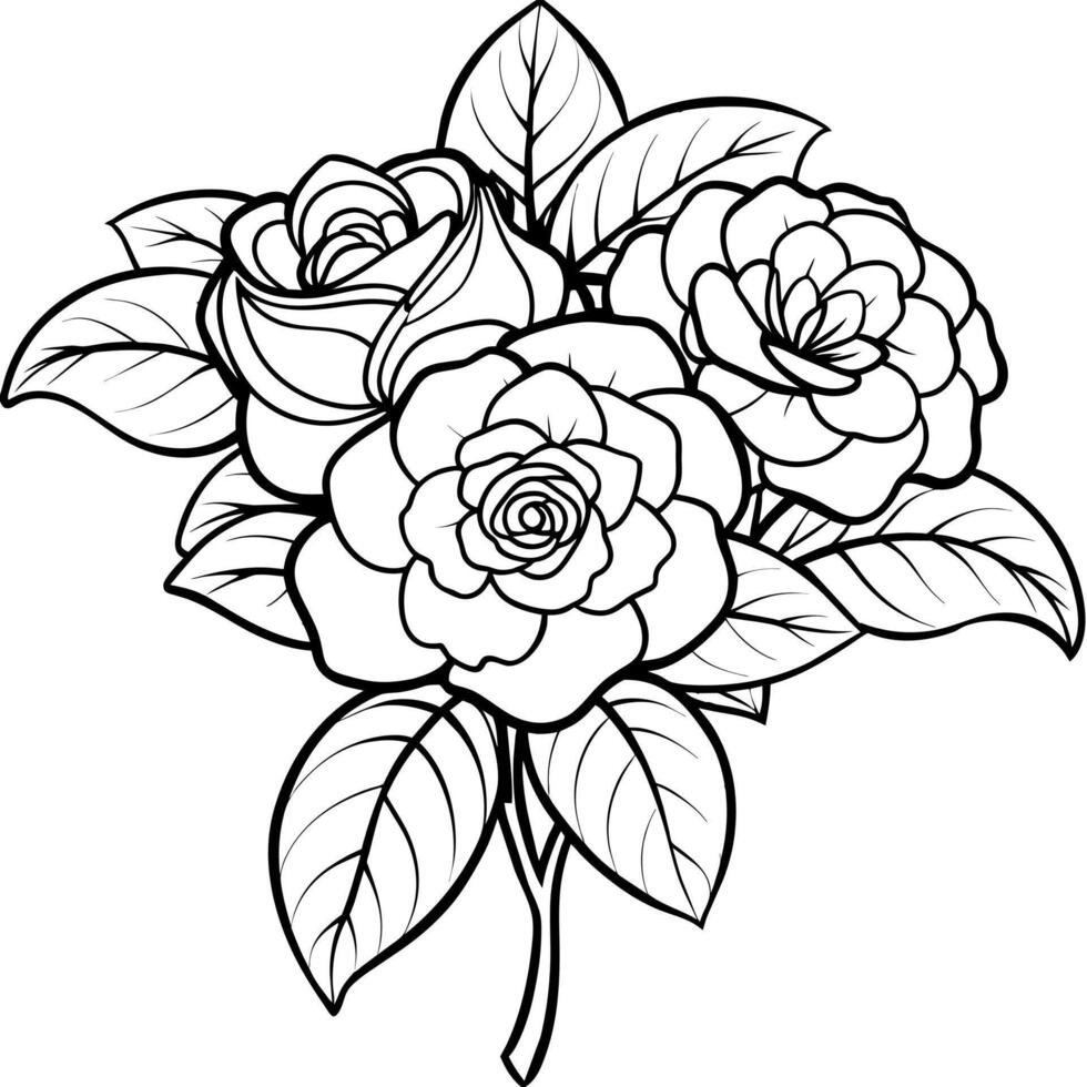 Camellia Flower Bouquet outline illustration coloring book page design, Camellia Flower Bouquet black and white line art drawing coloring book pages for children and adults vector