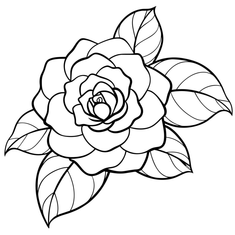 Camellia flower plant outline illustration coloring book page design, Camellia flower plant black and white line art drawing coloring book pages for children and adults vector
