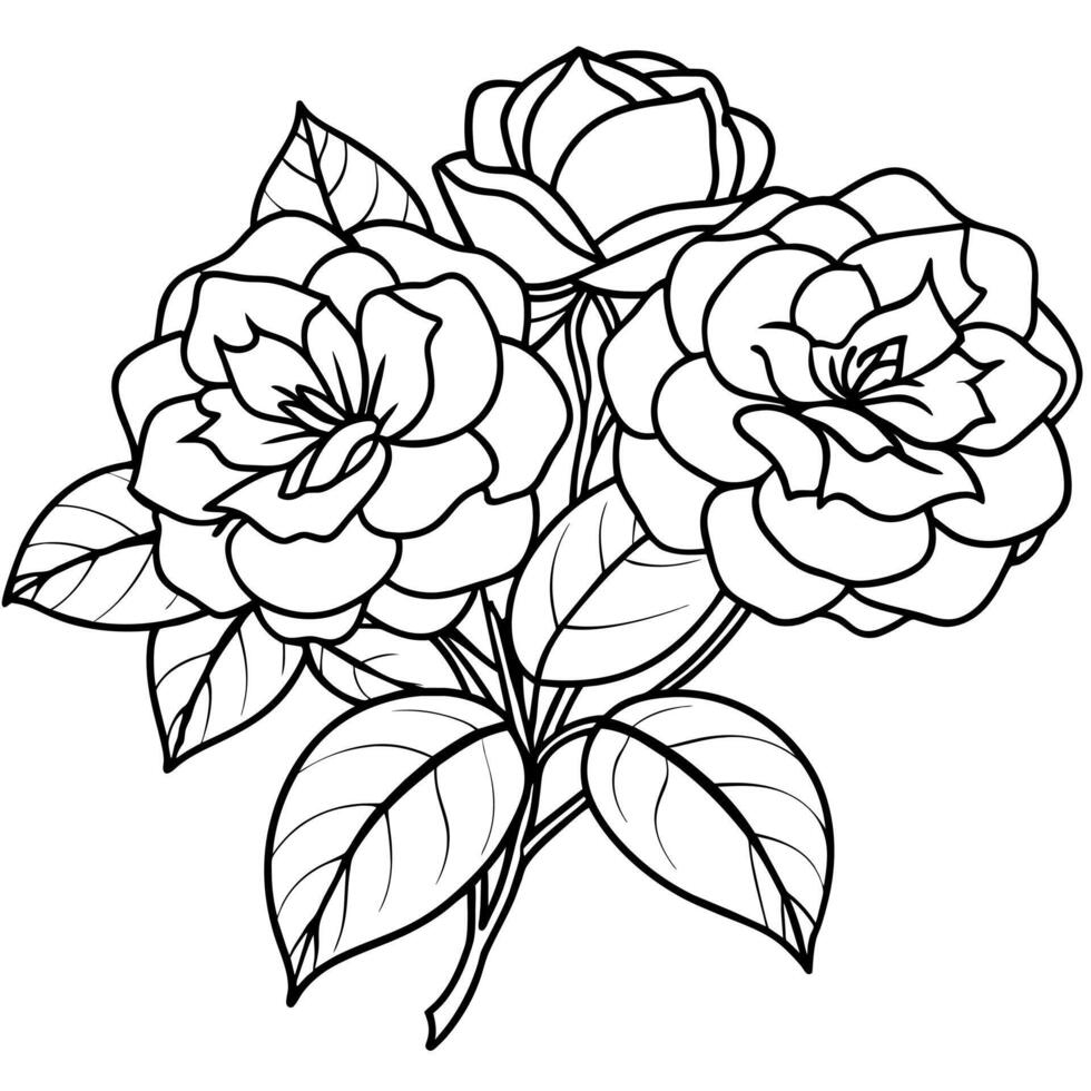 Camellia Flower Bouquet outline illustration coloring book page design, Camellia Flower Bouquet black and white line art drawing coloring book pages for children and adults vector