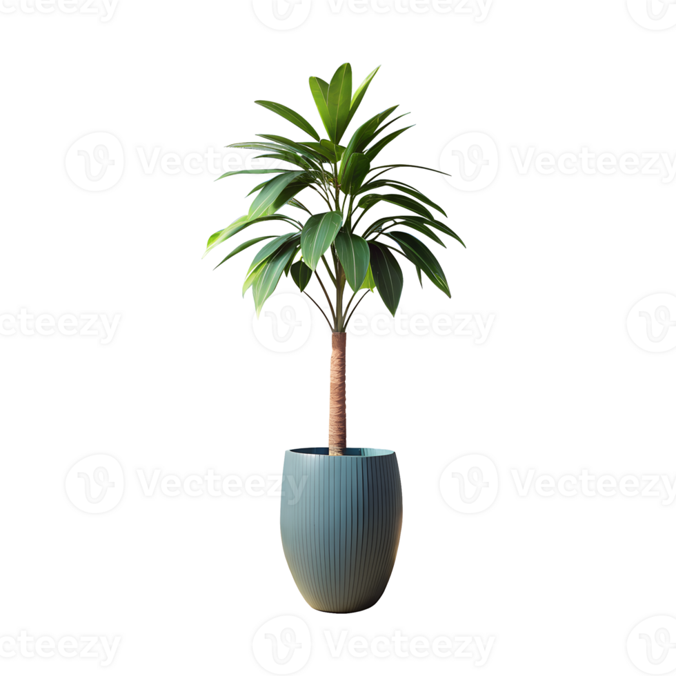 A tall green plant is standing in a blue pot png