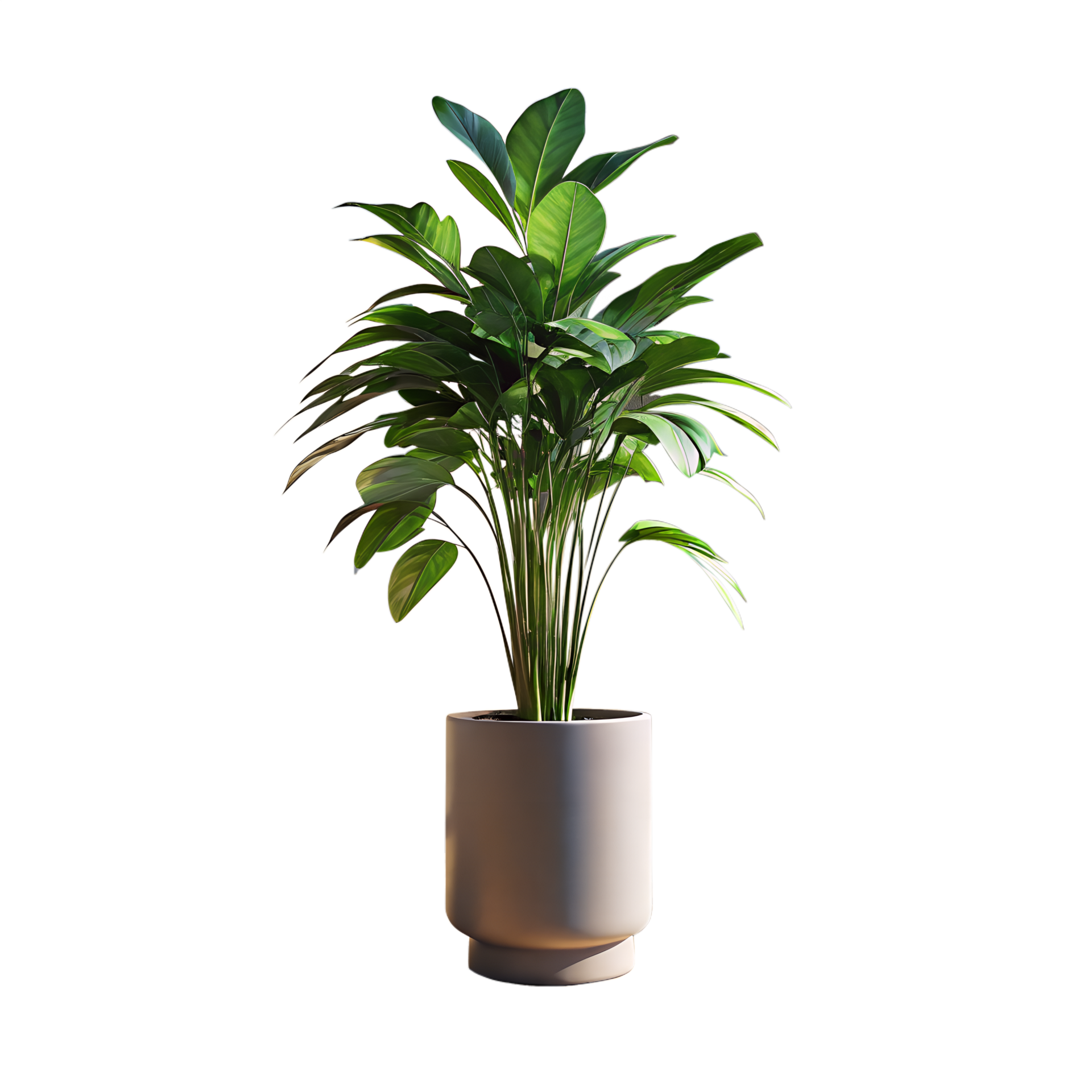 A tall green plant is standing in a blue pot 43974429 PNG