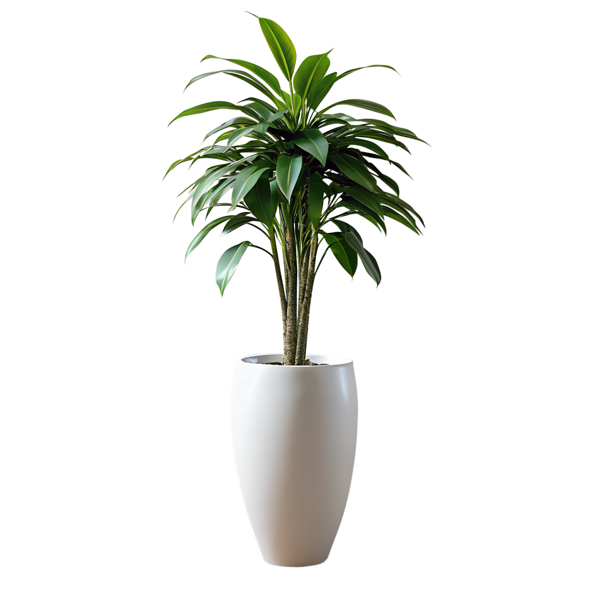 A tall green plant is standing in a blue pot 43974437 PNG
