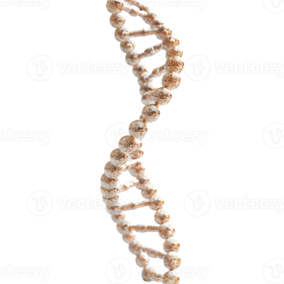3D Rendering of a DNA Element on Transparent Background png