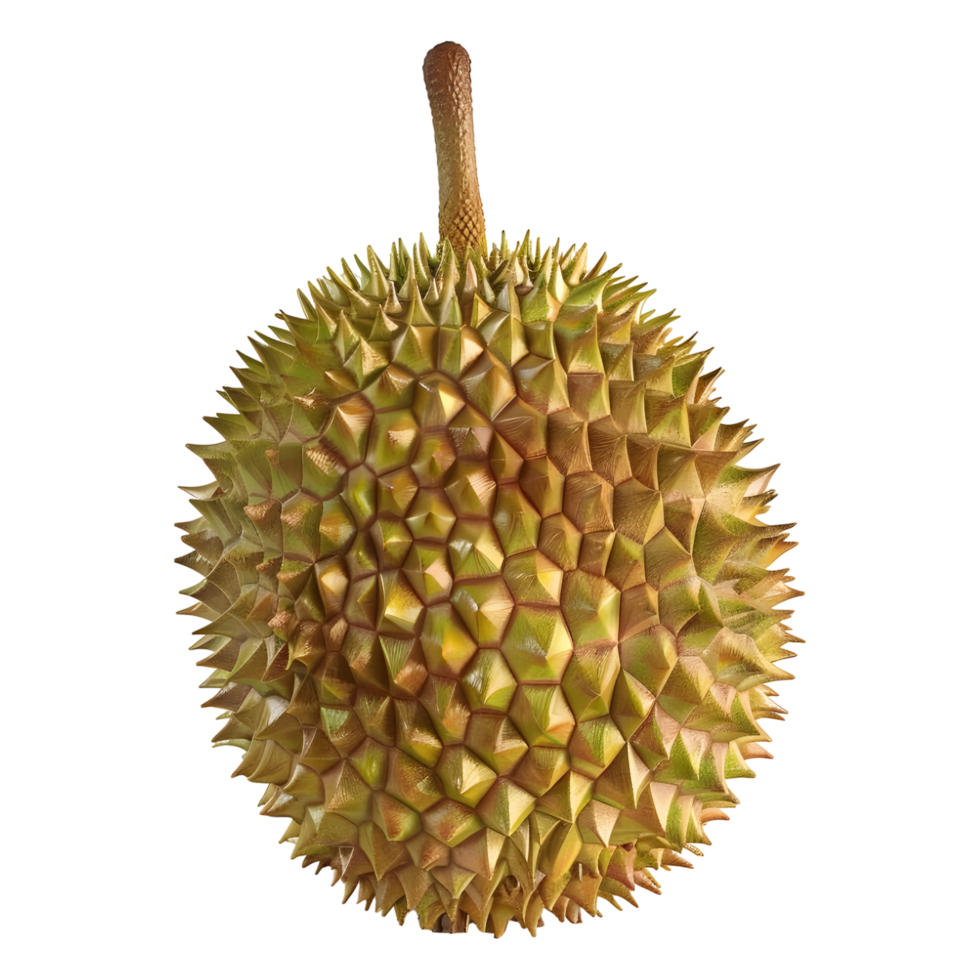 3D Rendering of a Durian Fruit on Transparent Background png