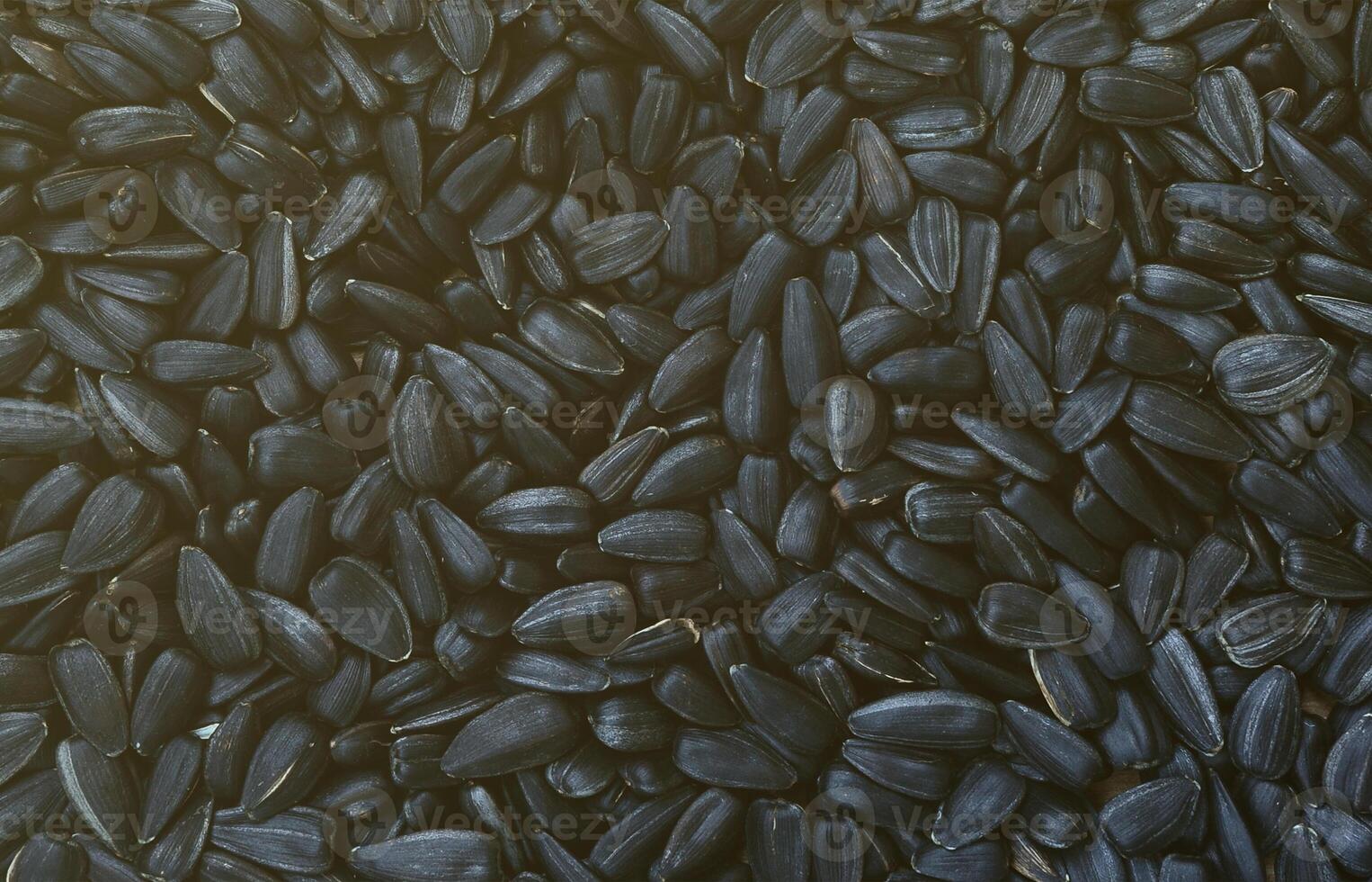 A pattern of many unprocessed fried sunflower seeds in a black shell. photo