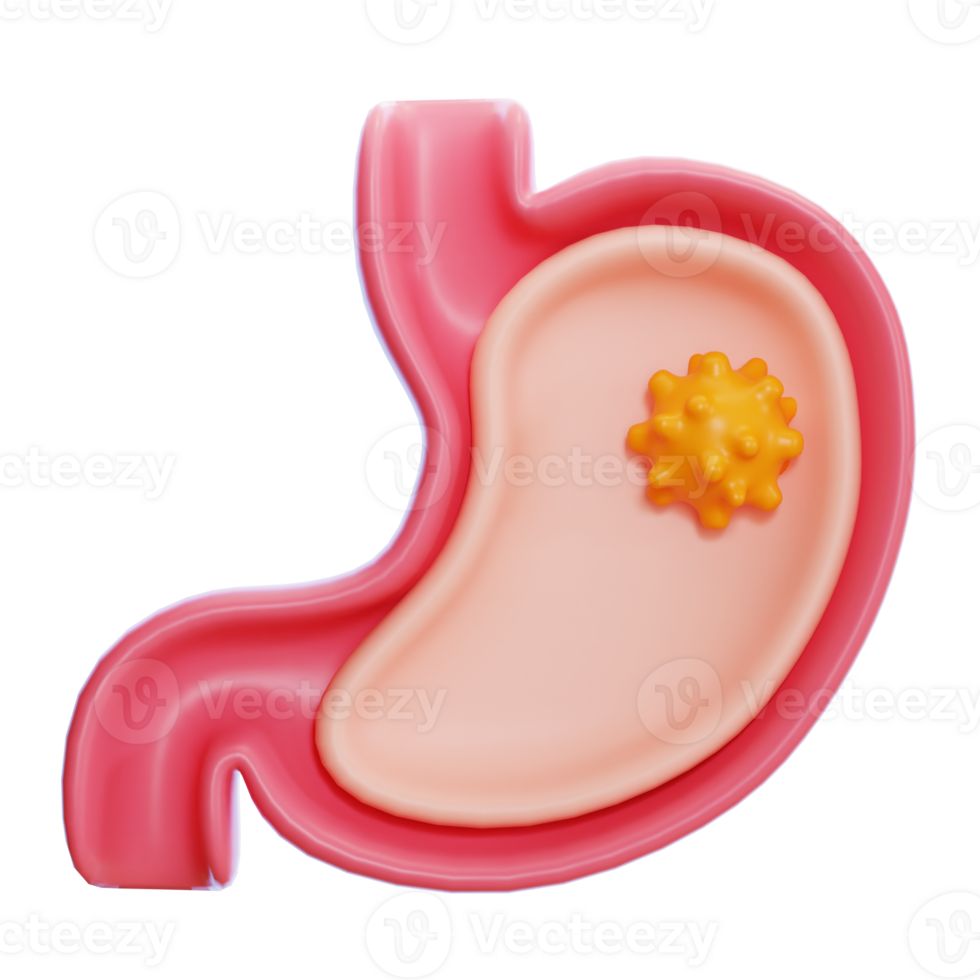 stomach 3d icon png