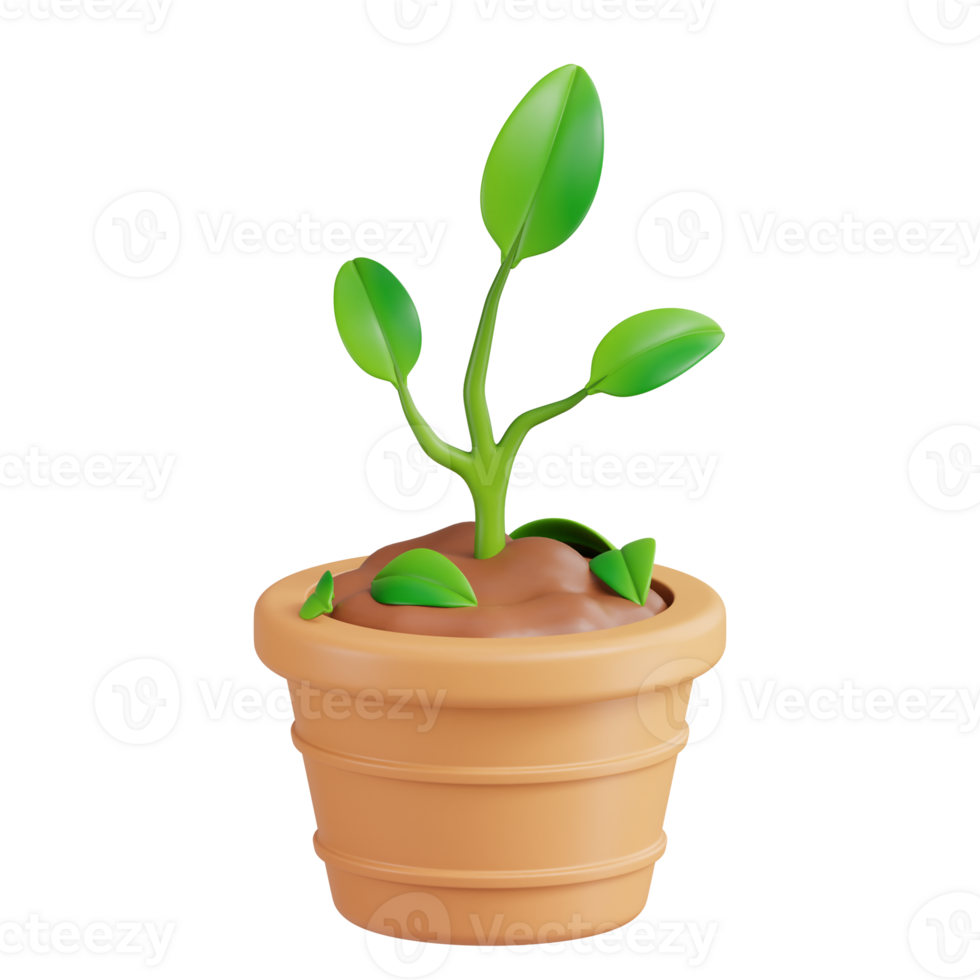 Plant 3D Icon png