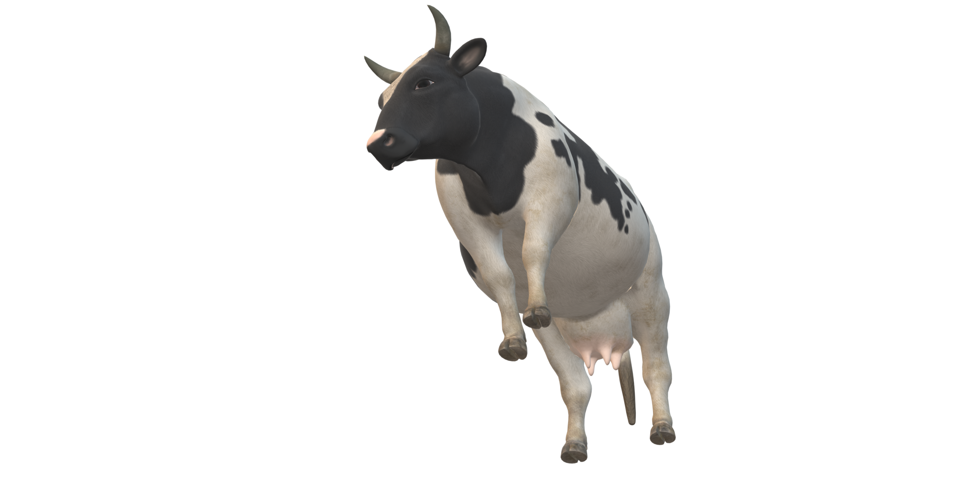 Cow isolated on a Transparent Background png
