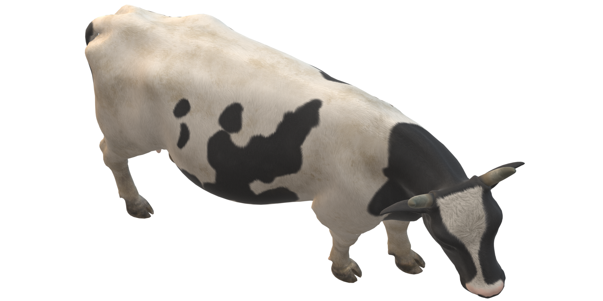 vaca aislado en un transparente antecedentes png