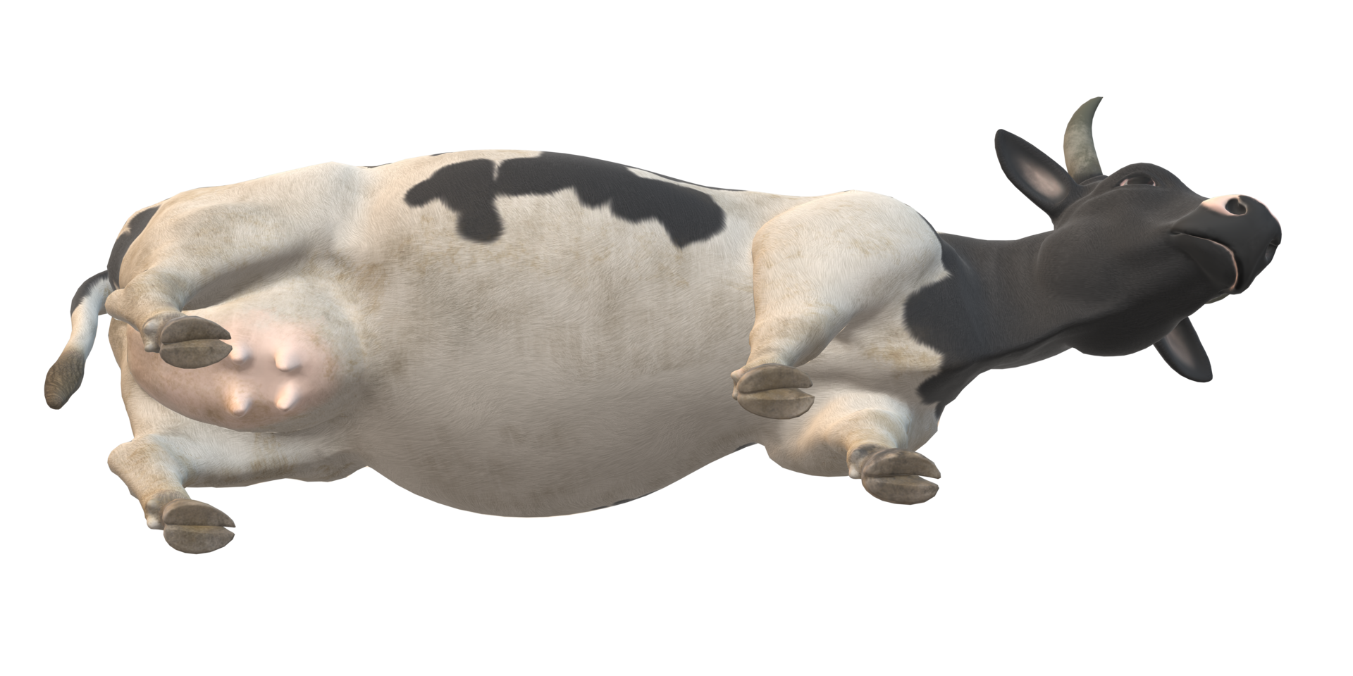 Cow isolated on a Transparent Background png