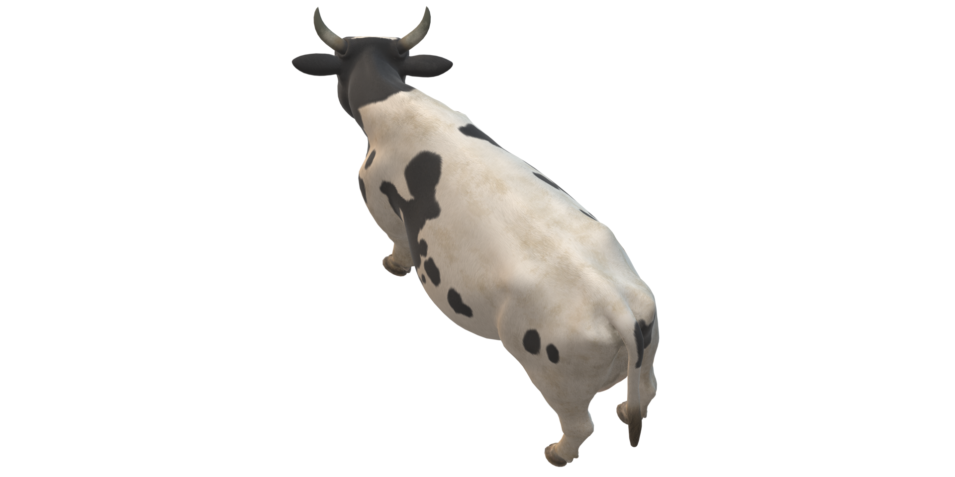 Cow isolated on a Transparent Background png