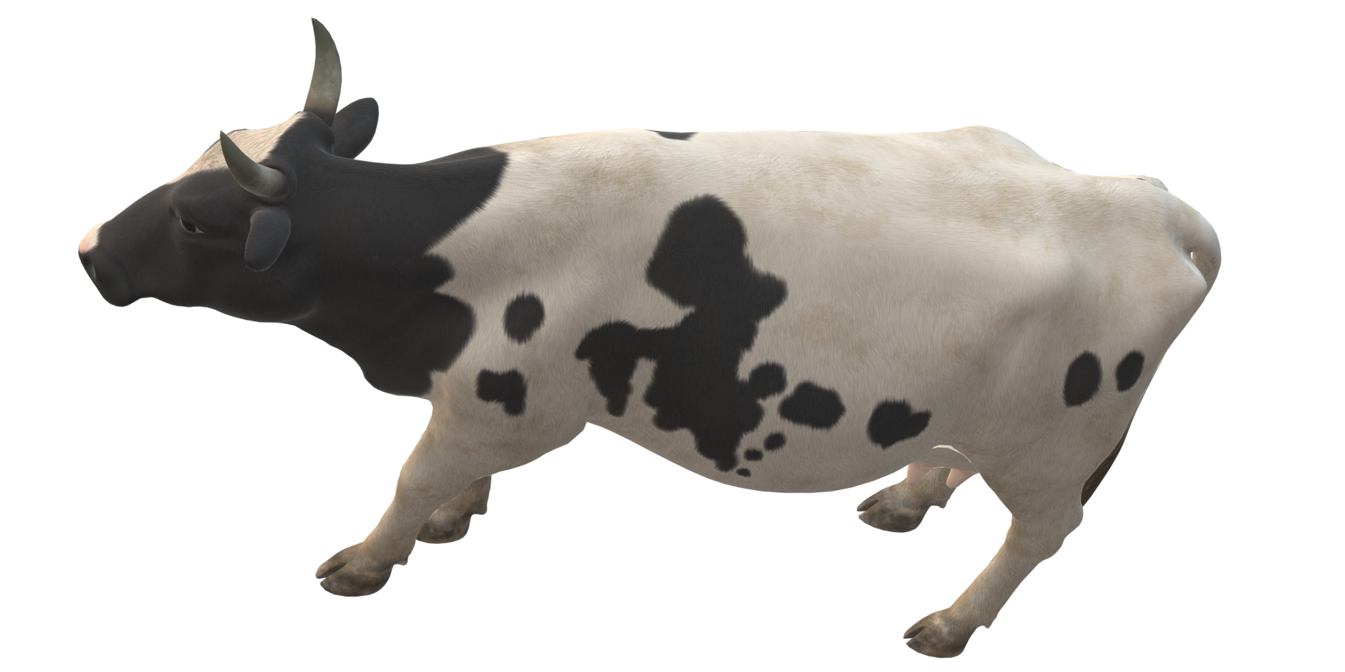 Cow isolated on a Transparent Background png
