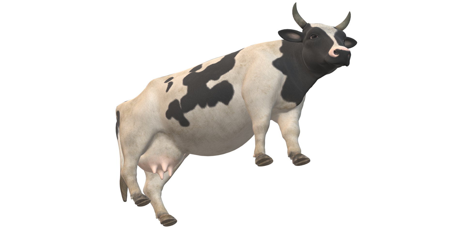 Cow isolated on a Transparent Background png