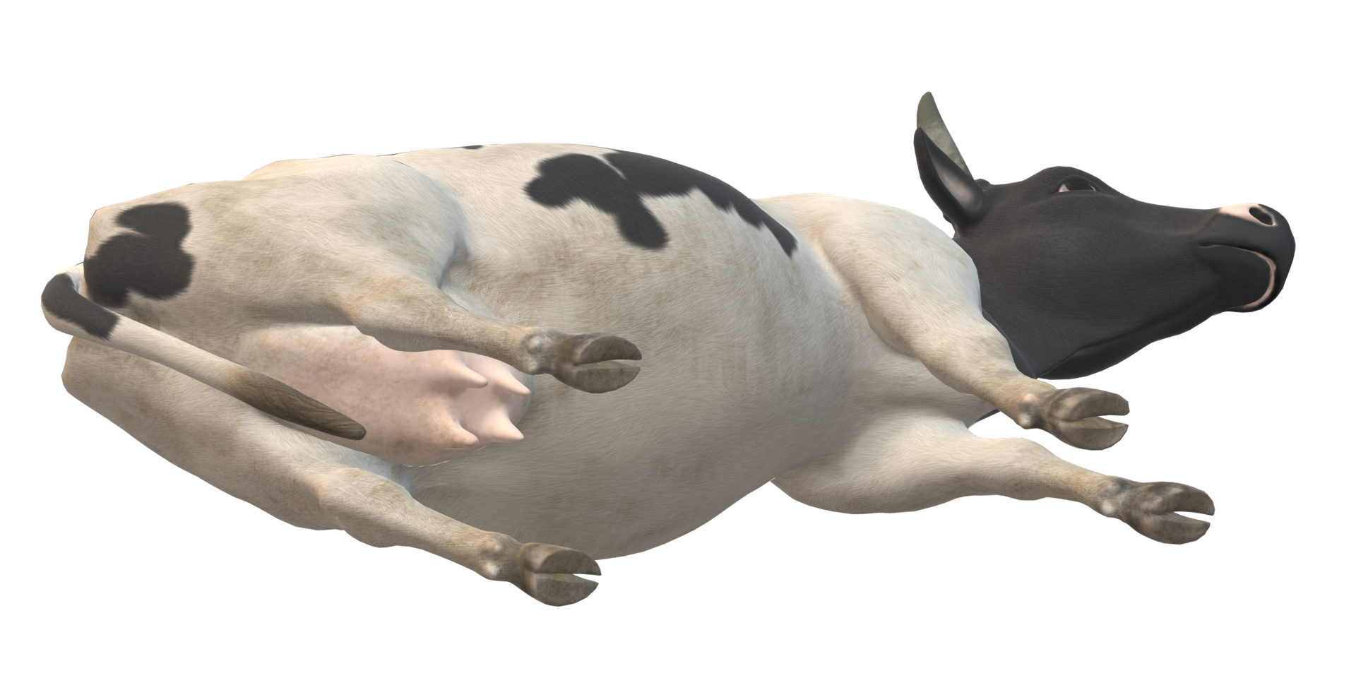 Cow isolated on a Transparent Background png
