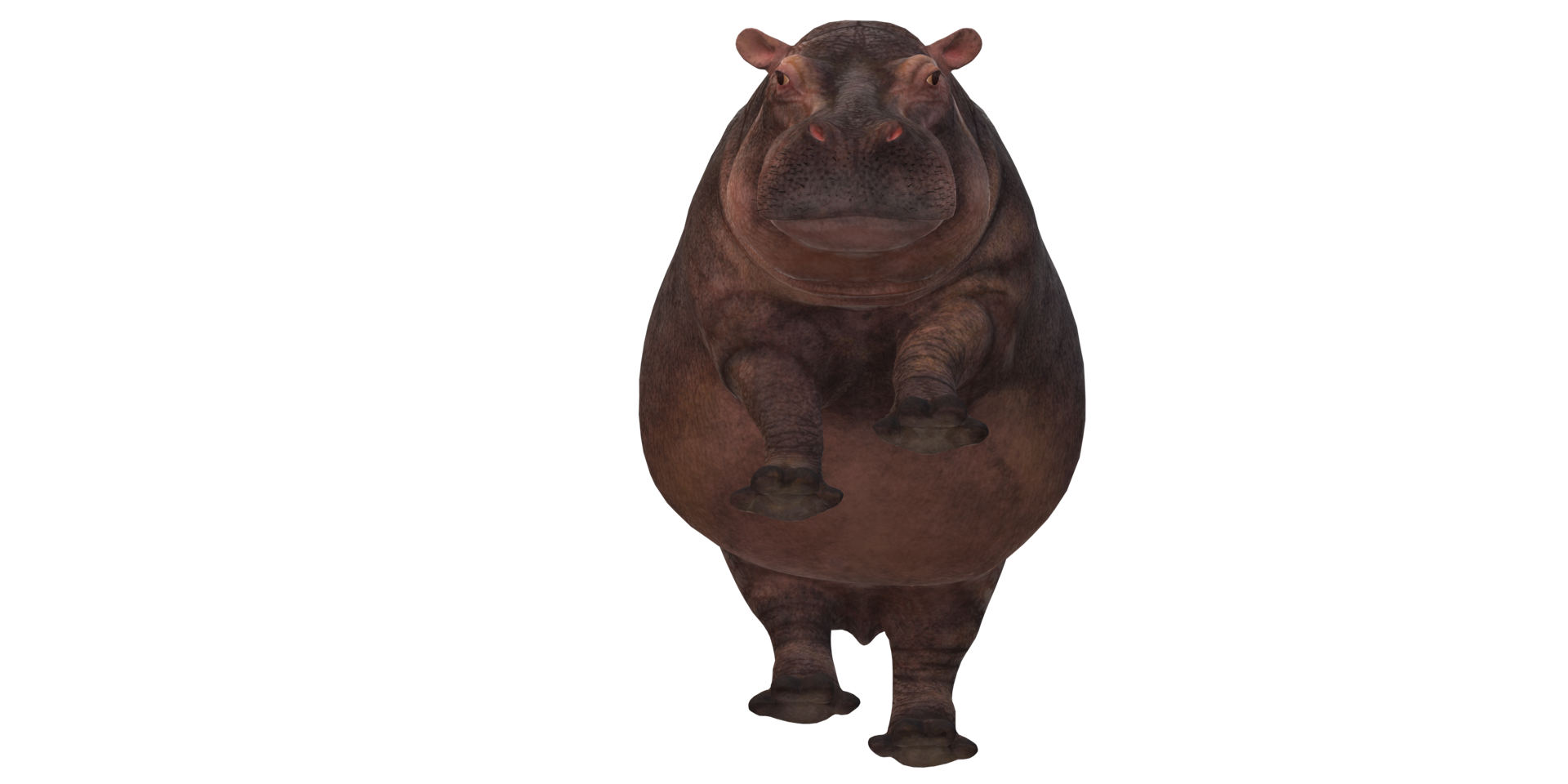 Hippopotamus isolated on a Transparent Background png