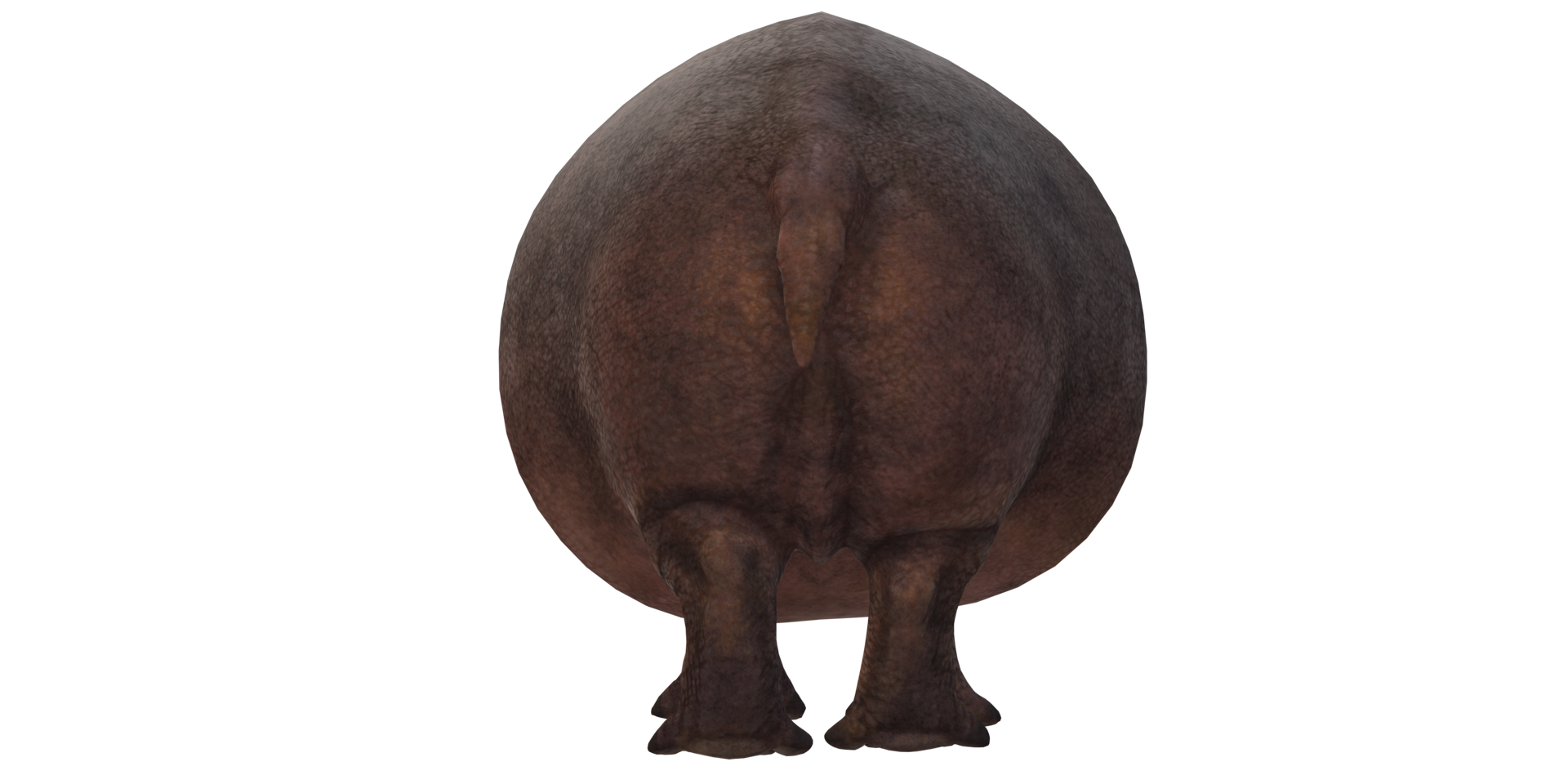 Hippopotamus isolated on a Transparent Background png