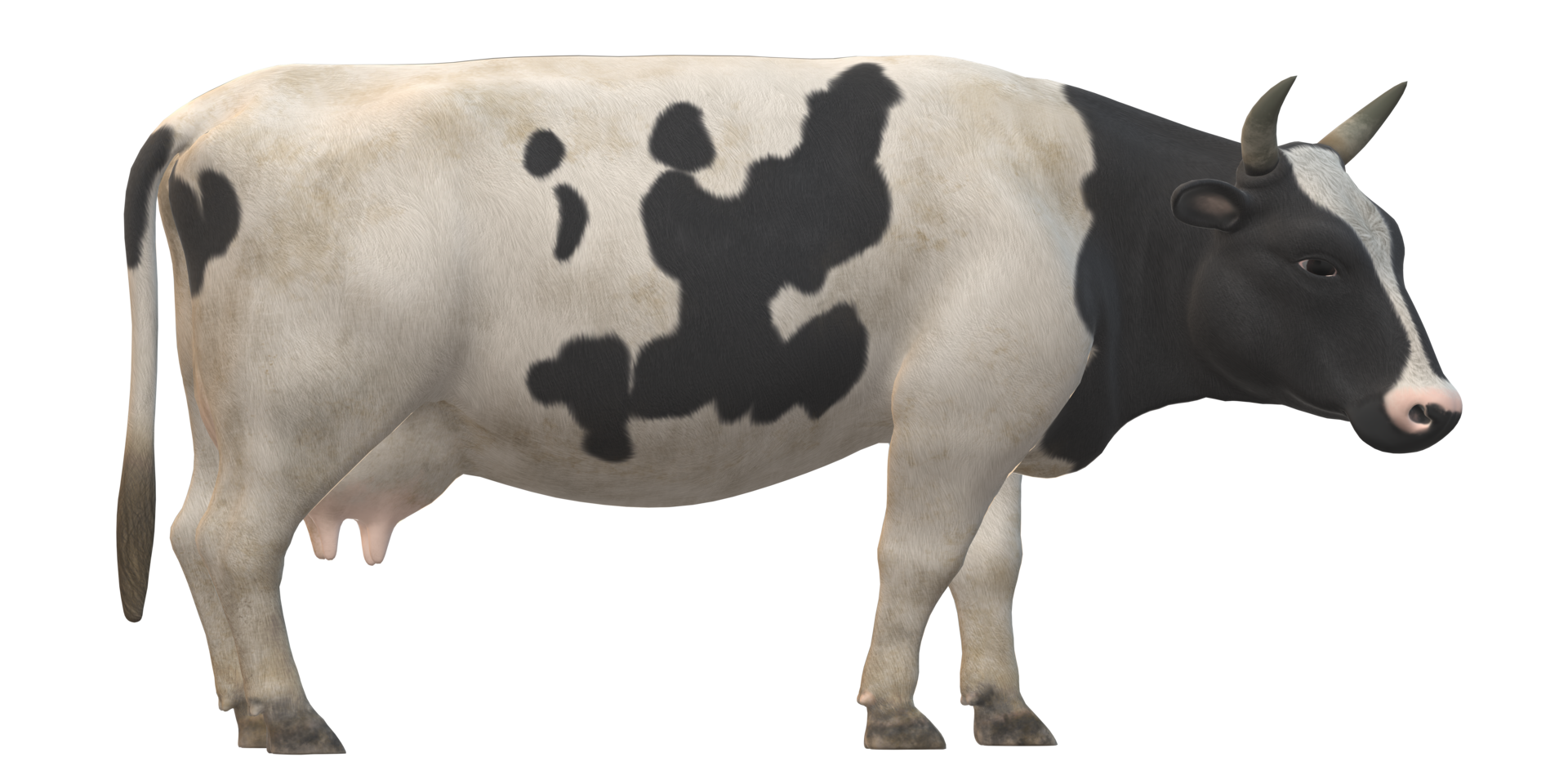 Cow isolated on a Transparent Background png