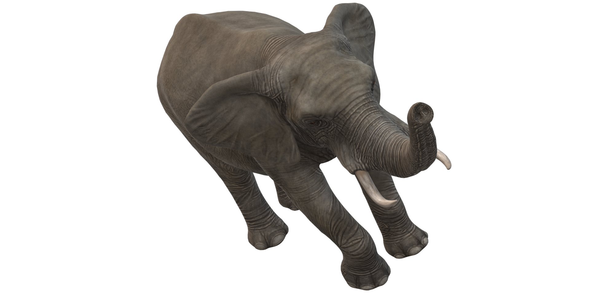 Elephant isolated on a Transparent Background png