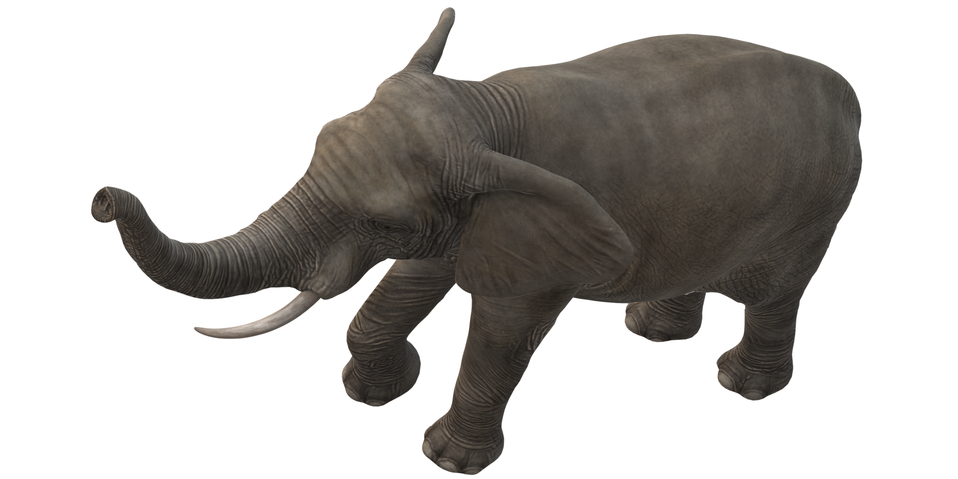 Elephant isolated on a Transparent Background png