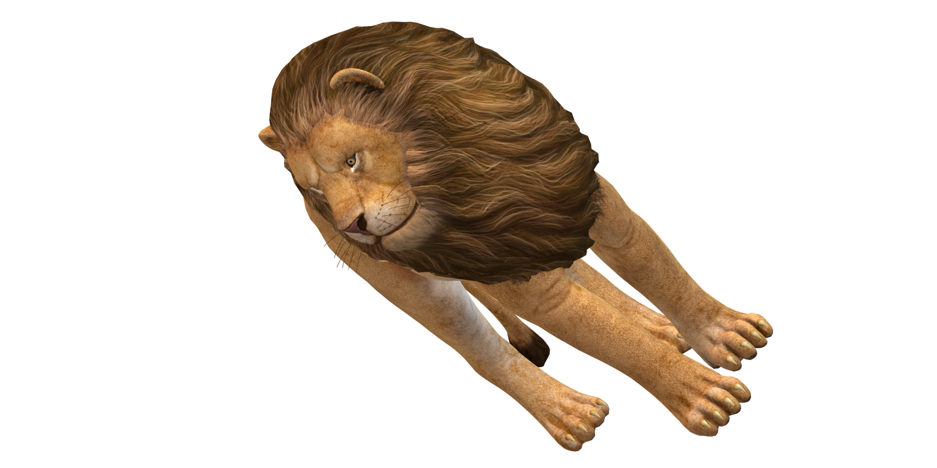 Lion isolated on a Transaprent Background png