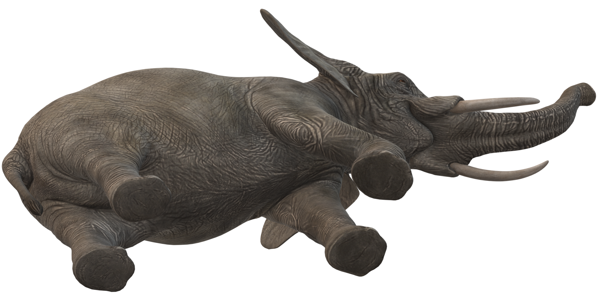 Elephant isolated on a Transparent Background png