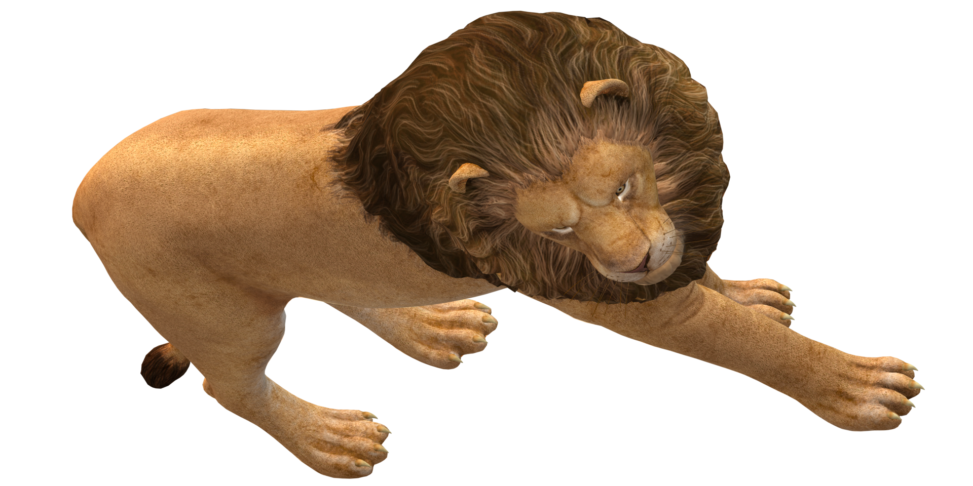 Lion isolated on a Transaprent Background png