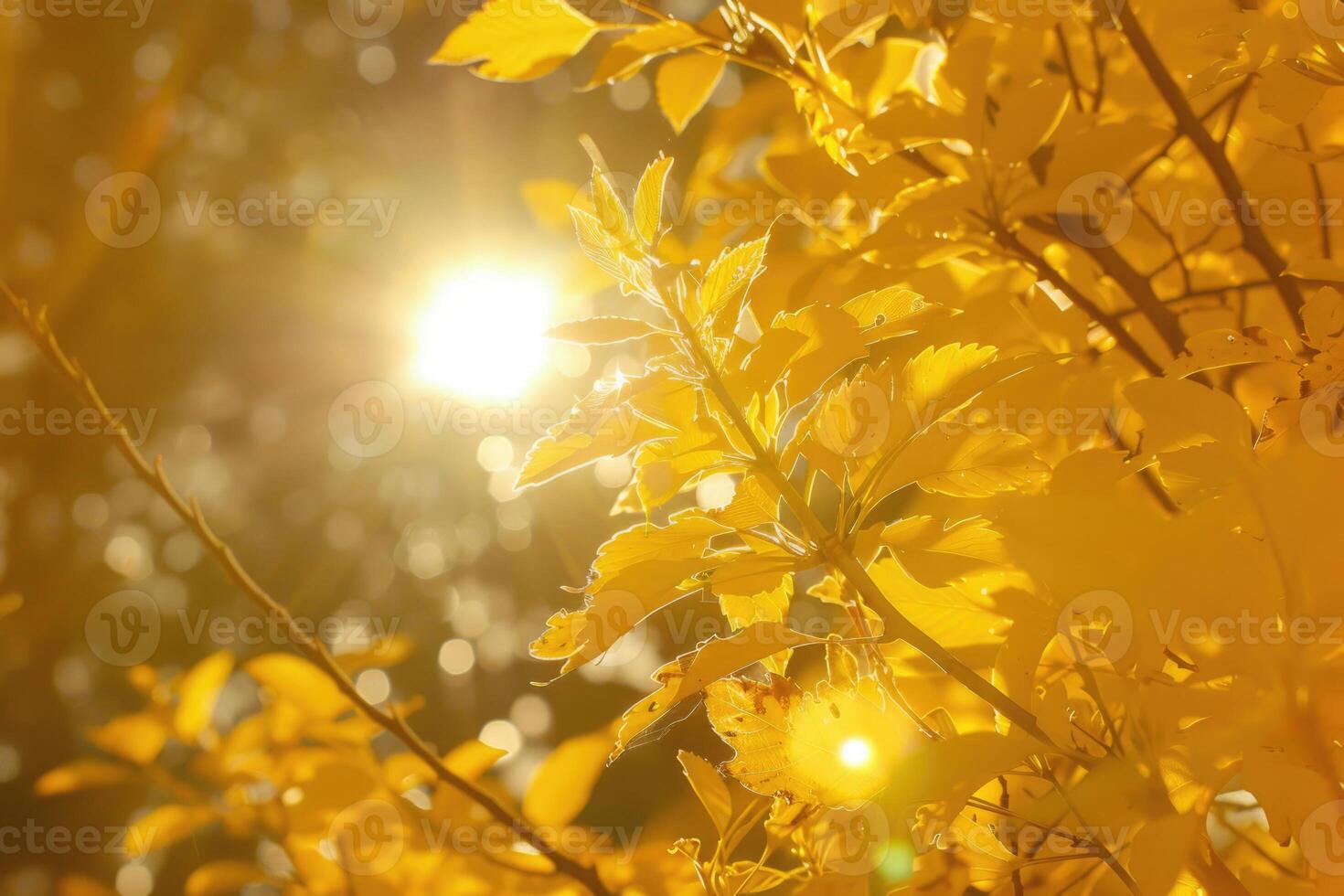 AI generated Under the bright sun. Abstract natural backgrounds photo