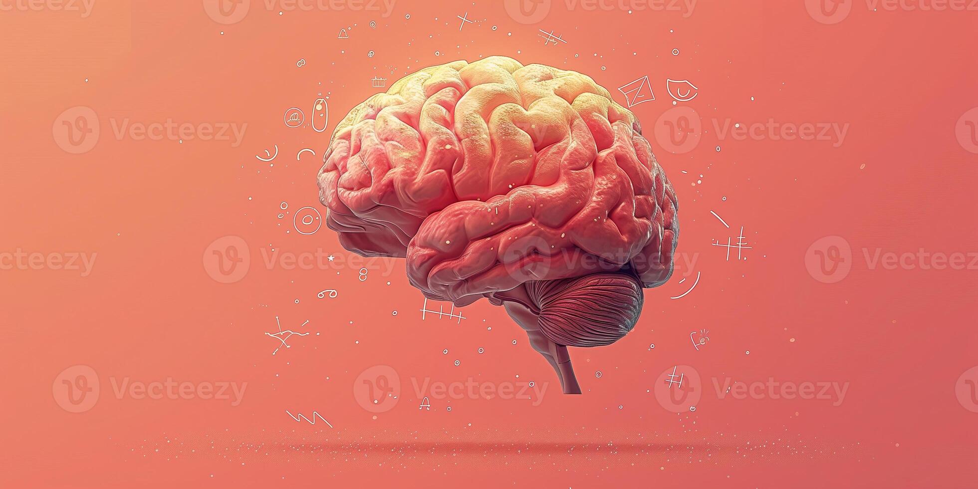 AI generated Illustration of human brain in creative concept for creative mind and intelligence photo