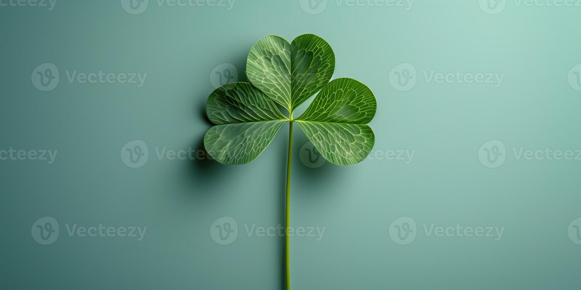 AI generated Clover plant is an Irish symbol of good luck for St. Patrick's Day photo