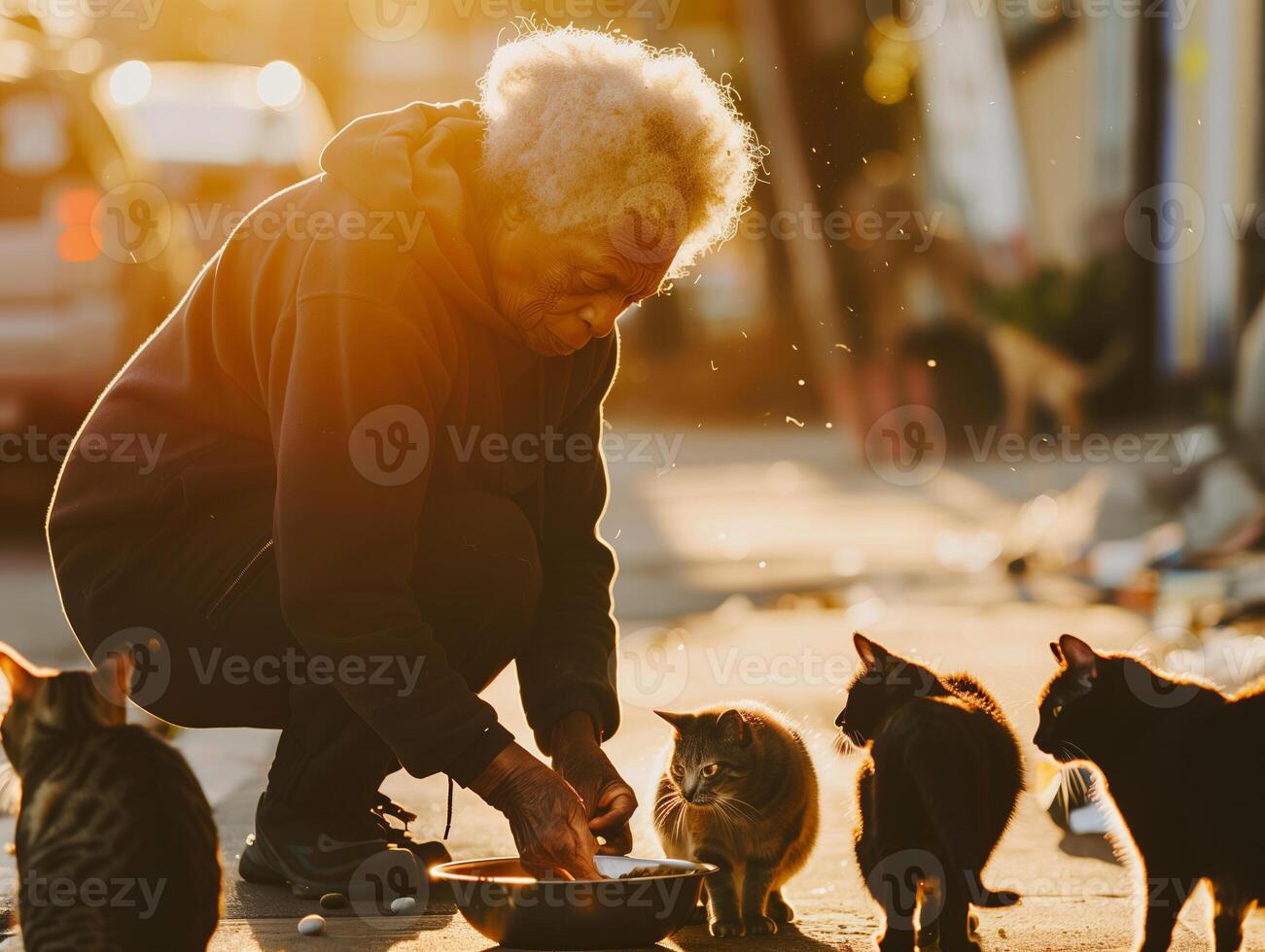 Elderly women providing nourishment to stray cats, illustrating empathy and companionship amidst solitude photo