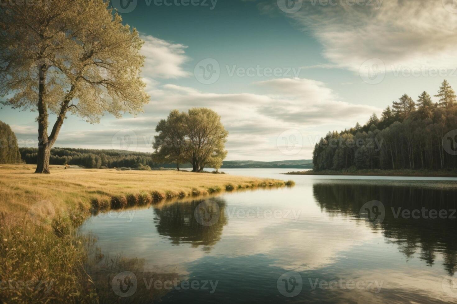 a lake surrounded by trees and grass at sunrise photo