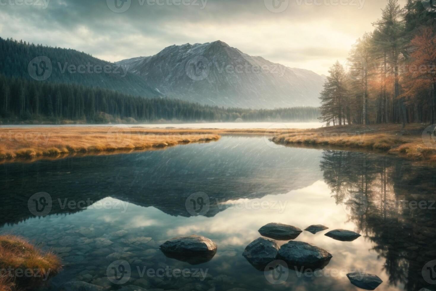 a river in the forest with fog and trees photo