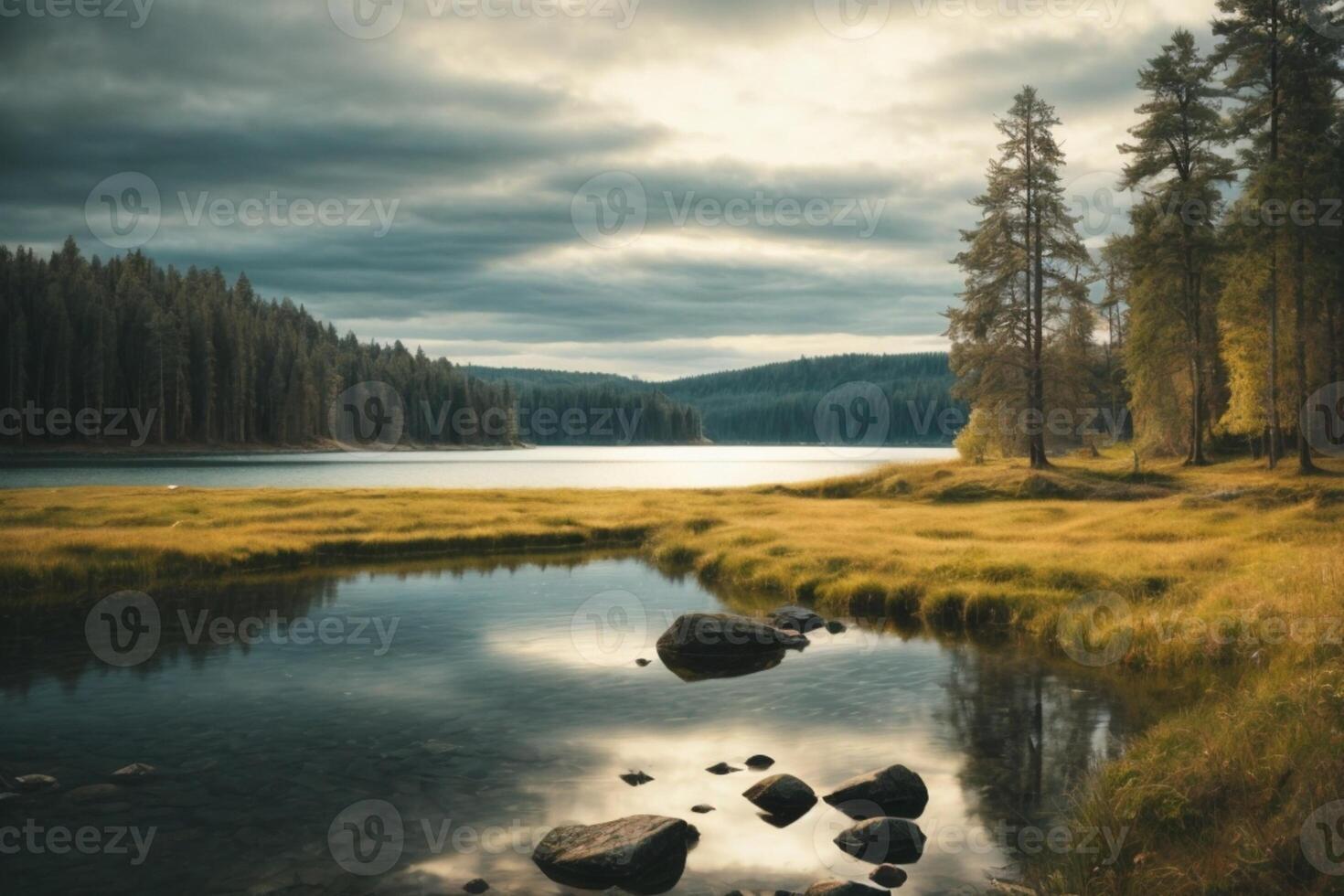 a river in the forest with trees and fog photo