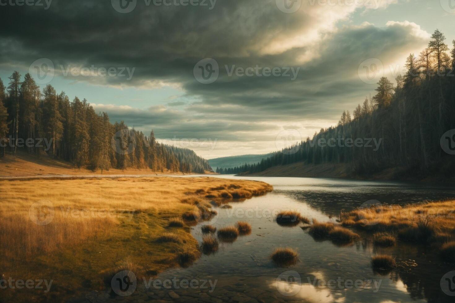 un río en el bosque con arboles y niebla foto