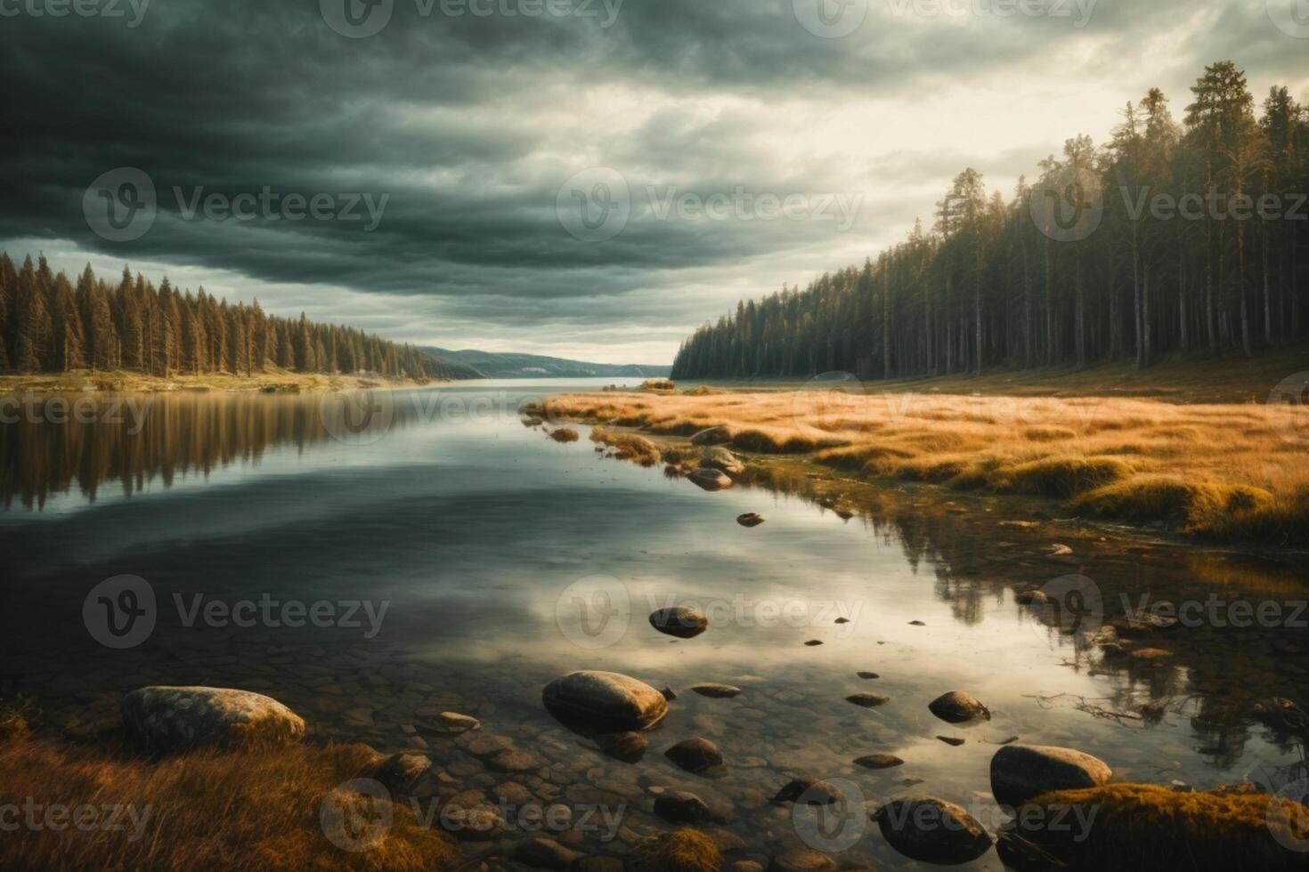 a river in the forest with trees and fog photo