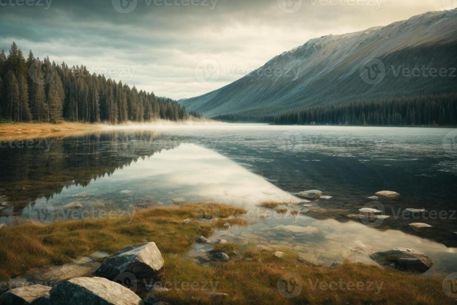 a lake surrounded by trees and grass photo