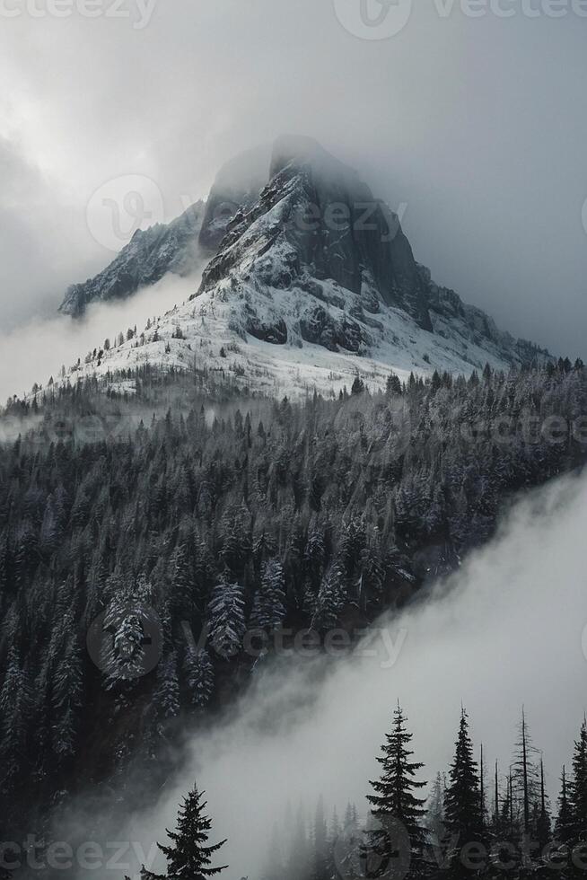 a mountain covered in snow and trees photo