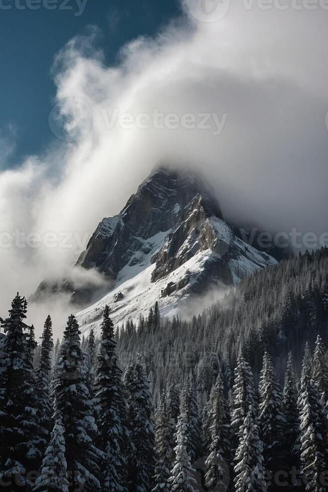 un montaña cubierto en nieve y arboles foto