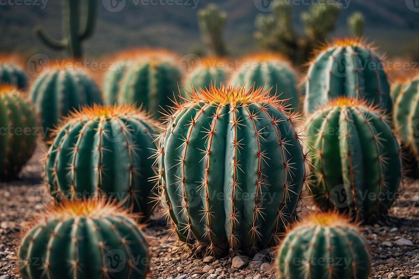 un cactus planta es mostrado en un Desierto ambiente foto